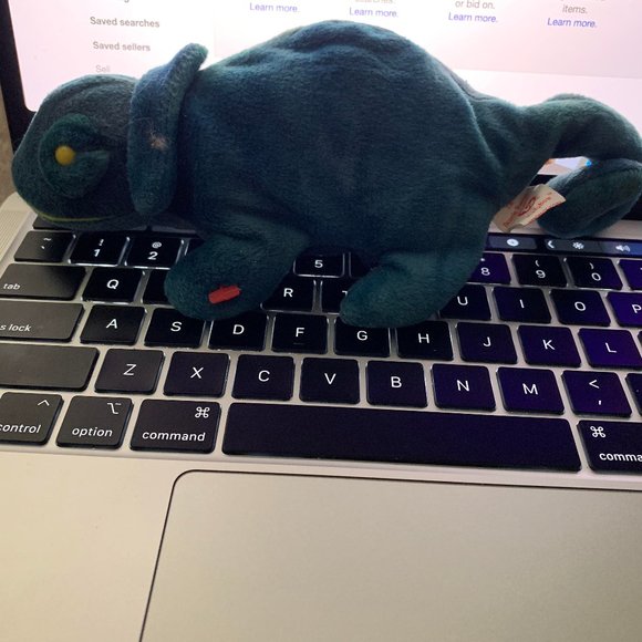 Beanie Baby (Rainbow) Chameleon RARE